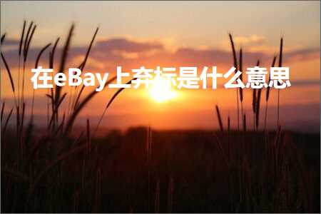 玩具推广网站 跨境电商知识:在eBay上弃标是什么意思